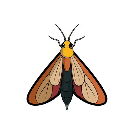 Colorful cartoon moth illustration with outstretched wings on whiteのイラスト素材