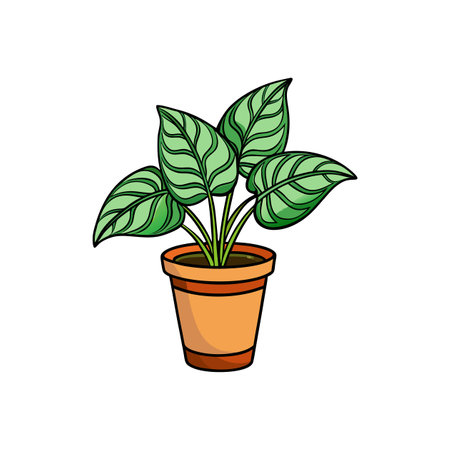 Cartoon Calathea plant in pot on isolated white backgroundのイラスト素材