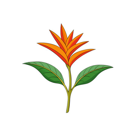 Bold Heliconia flower illustration with vibrant petals and leavesのイラスト素材