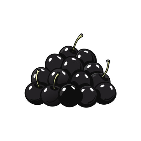 Pile of dark cherries with stems, clean design illustrationのイラスト素材