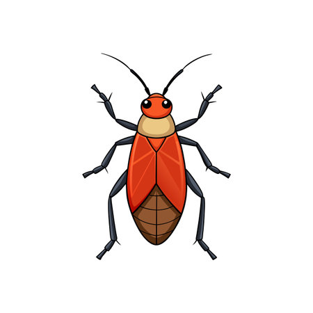 Cartoon red bug illustration with black outline vector graphic