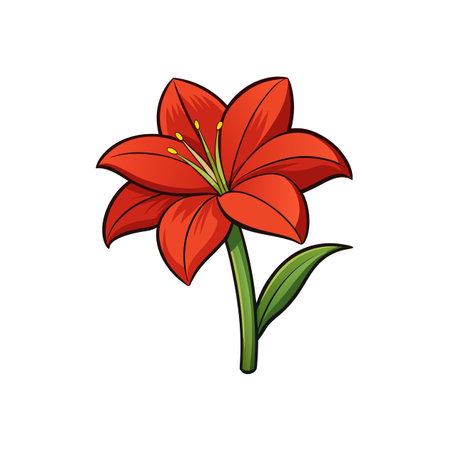 Vibrant Red Lily Flower Illustration on a White Backgroundのイラスト素材