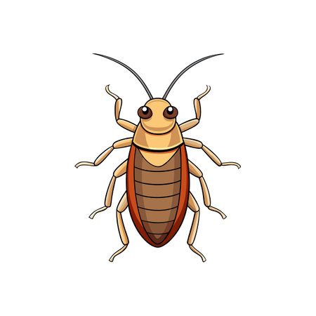 Illustration of cockroach with six legs and antennaeのイラスト素材