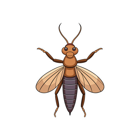 Detailed cartoon illustration of an earwig insect on white