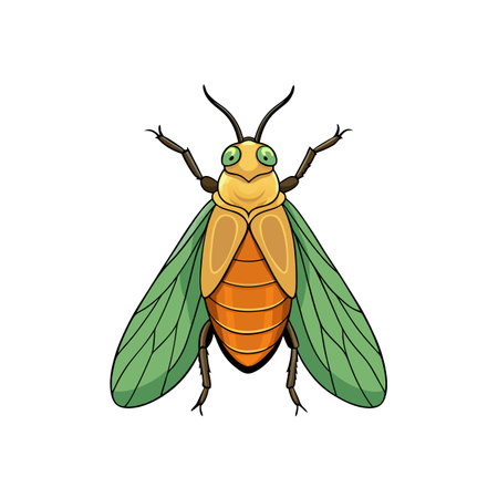 Detailed vector illustration of a colorful insect on whiteのイラスト素材