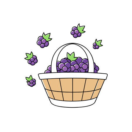 Basket full of cartoon blackberries with leaves on white backgroundのイラスト素材