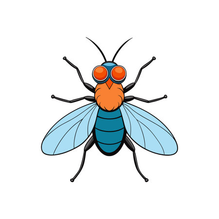Cartoon fly illustration on a white isolated backgroundのイラスト素材