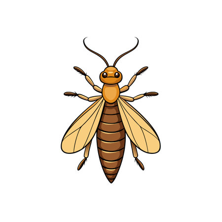 Cartoonish termite illustration with defined lines on white backgroundのイラスト素材