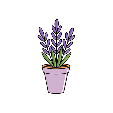Cartoon lavender flower in a purple pot illustrationのイラスト素材
