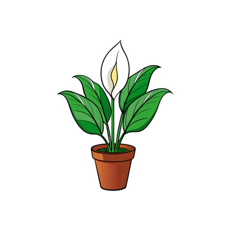 Peace lily plant in pot digital illustration styleのイラスト素材