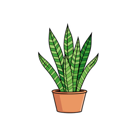Stylized Snake Plant in a Pot, Isolated on Whiteのイラスト素材