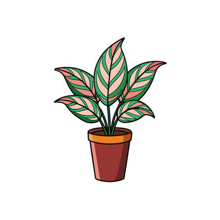 Potted Maranta Leuconeura Plant Graphic Flat Style Illustrationのイラスト素材