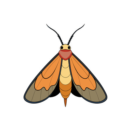 Graphic Illustration of a Colorful Moth on White Backgroundのイラスト素材