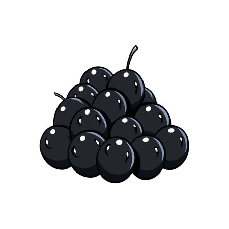 Cartoon bunch of black grapes graphic illustration on whiteのイラスト素材