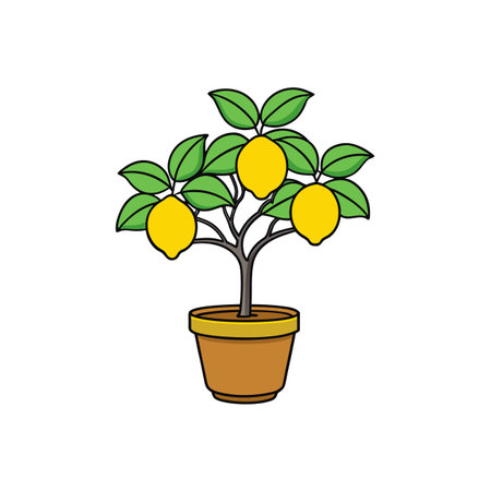 Stylized lemon tree illustration in pot on white backgroundのイラスト素材