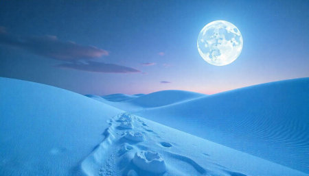Footprints across white sand dunes under a full moonの写真素材