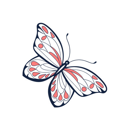 Stylized butterfly illustration with clean lines and coral accentsのイラスト素材
