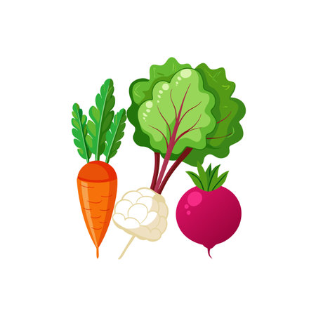 Vector Illustration of Assorted Colorful Root Vegetables on Whiteのイラスト素材