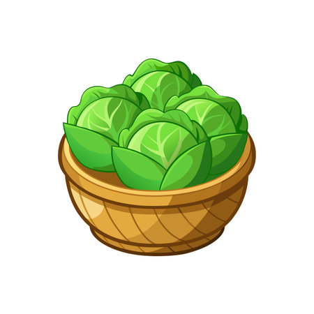 Basket full of fresh green cabbages healthy eating conceptのイラスト素材