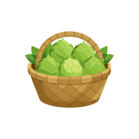 Basket of fresh green Brussels sprouts with green leavesのイラスト素材