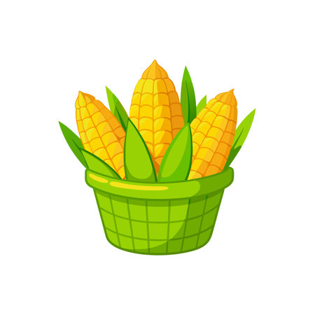 Three ears of corn in green basket cartoon styleのイラスト素材
