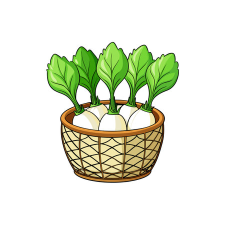 Fresh turnips with leaves in a wicker basketのイラスト素材