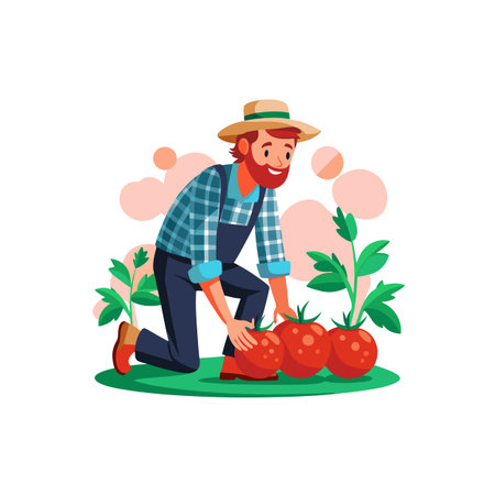 Farmer tending to tomato plants in flat design styleのイラスト素材