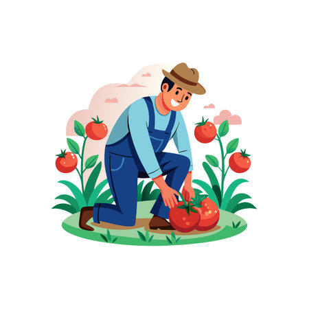 Farmer harvesting ripe tomatoes in a stylized organic gardenのイラスト素材