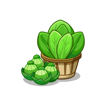 Basket overflowing with fresh green lettuce and brussel sproutsのイラスト素材