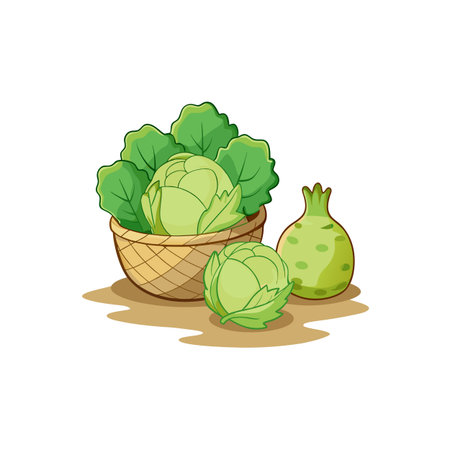 Fresh green cabbages in a basket with fruit illustrationのイラスト素材