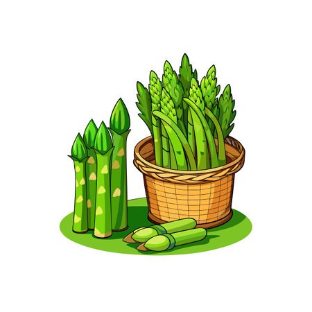 Fresh asparagus still life illustration in basket on green surfaceのイラスト素材