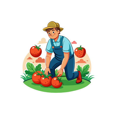 Farmer harvesting ripe red tomatoes in cartoon illustration styleのイラスト素材