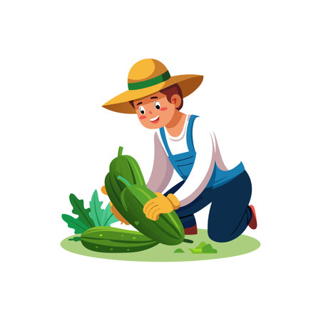 Farmer harvesting fresh cucumbers in the garden illustration vectorのイラスト素材