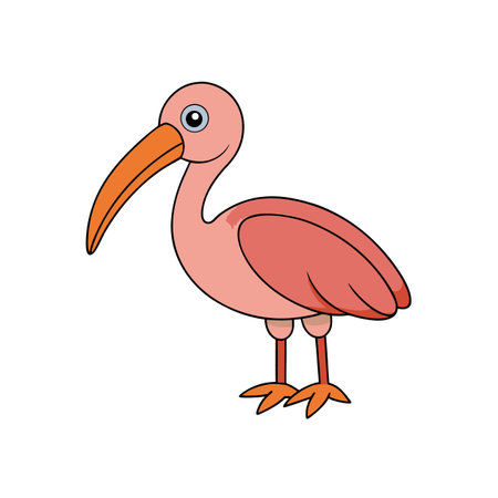 Cartoon Ibis illustration against white background with thick outlinesのイラスト素材