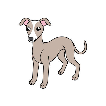 Cartoon Italian Greyhound isolated standing on a white backgroundのイラスト素材