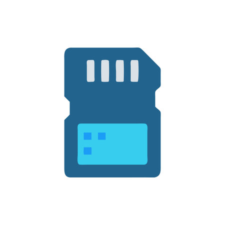 Data Storage Icon for Memory Cardsのイラスト素材