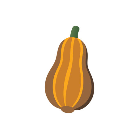 Acorn Squash Colorful Vegetable Designのイラスト素材