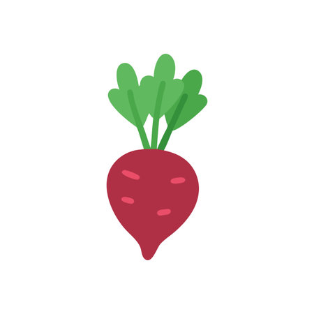 Vibrant Beetroot Vegetable Representationのイラスト素材