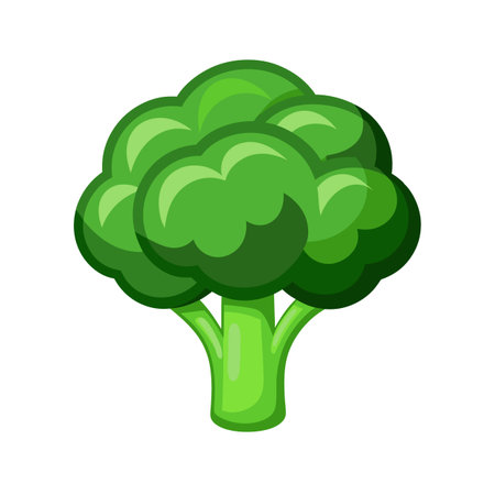 Broccoli icon. Cartoon illustration of broccoli vector icon for web designのイラスト素材