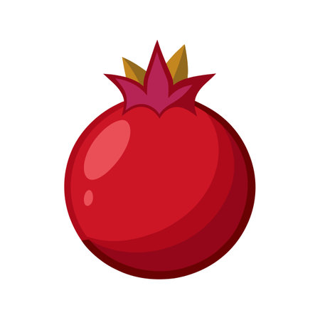 Pomegranate icon. Cartoon illustration of pomegranate icon for web designのイラスト素材