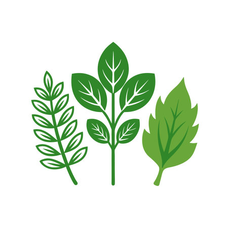 Mint leaves flat icon isolated on white background. Vector illustration.のイラスト素材
