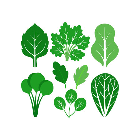 Set of green leaves. Vector illustration in flat style. Isolated on white background.のイラスト素材