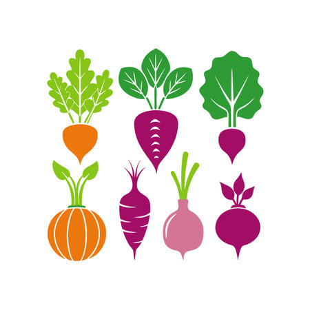 vegetables design, vector illustration eps10 graphicllustrationのイラスト素材