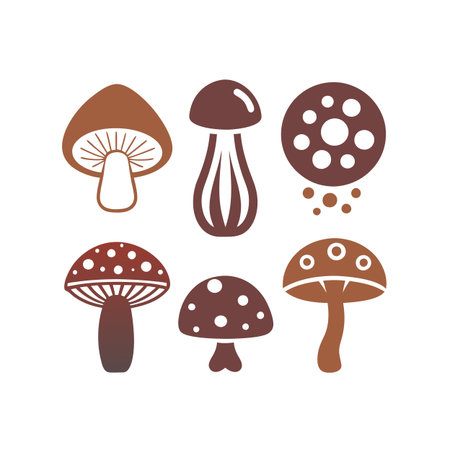 Mushroom icons set. Vector illustration isolated on white background.のイラスト素材