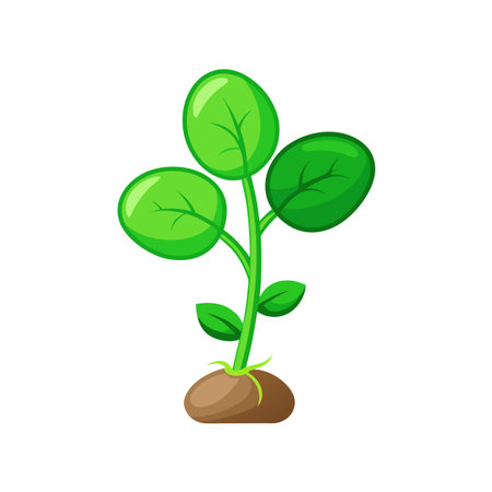 Green sprout icon. Cartoon illustration of green sprout vector icon for web designのイラスト素材