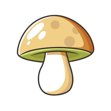 Mushroom icon. Cartoon illustration of mushroom vector icon for webのイラスト素材