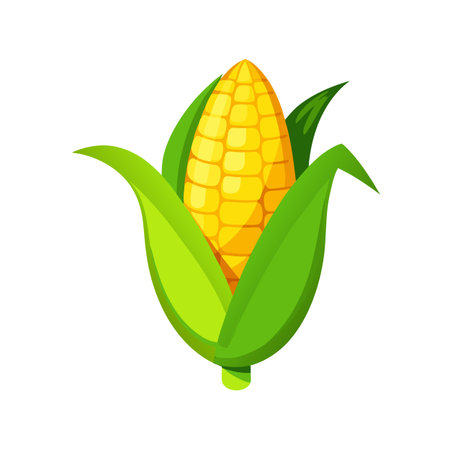 Corn cobs icon. Cartoon illustration of corn cobs vector icon for web designのイラスト素材
