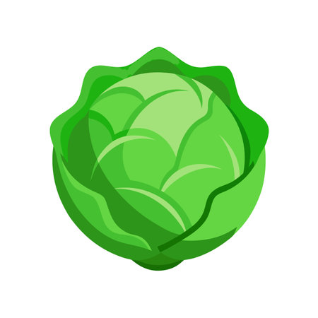 Cabbage icon. Flat illustration of cabbage vector icon for web designのイラスト素材