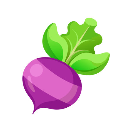 Beetroot with green leaves isolated on white background. Vector illustration.のイラスト素材
