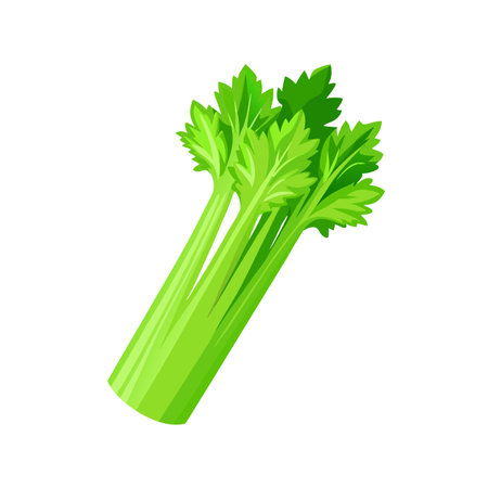 Celery isolated on white background. Vector illustration in cartoon style.のイラスト素材
